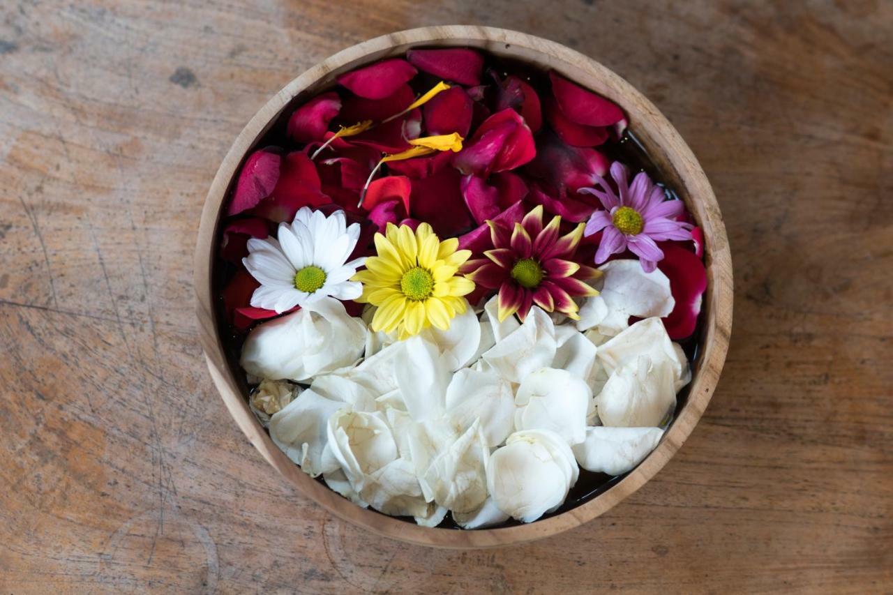 Ari Cottages Ubud المظهر الخارجي الصورة